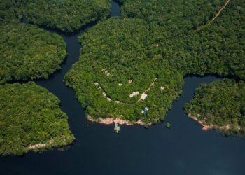 Amazonastur alinha estratégias para 2025 com municípios amazonenses inseridos do Mapa do Turismo Brasileiro