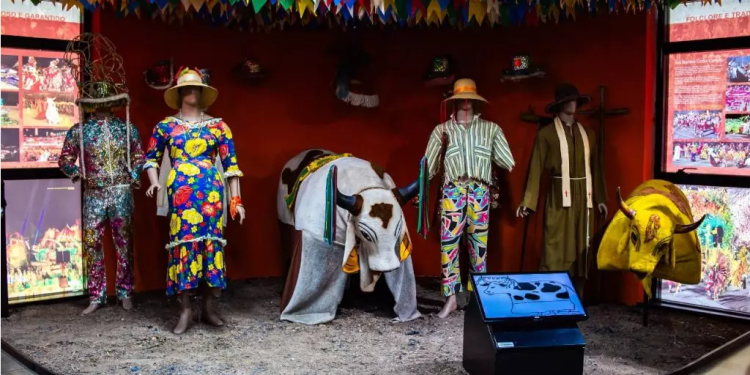 Centro Cultural dos Povos da Amazônia: Uma viagem à riqueza cultural da região