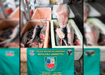 Polícia Militar do Amazonas prende homem e apreende aproximadamente 800 quilos de pescado ilegal