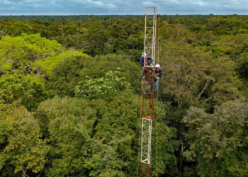 Várzea da Amazônia ganha primeira torre para monitorar gases de efeito estufa