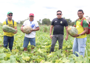 Balcão de Agronegócios: ADS avalia capacidade produtiva em propriedades rurais de Manaquiri