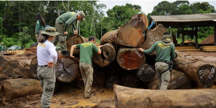 Brasil intensifica combate à extração ilegal de madeira na Amazônia