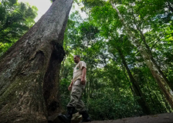 Conabio lança novas metas de conservação da biodiversidade para 2030