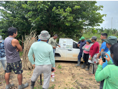 Idam inicia implantação três Unidades Demonstrativas (UD) de mandioca no interior do Amazonas