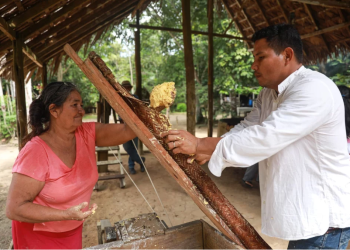 Museu do Seringal retoma atividades e reabre para visitação na quinta-feira