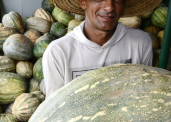 Programa Balcão de Agronegócios impulsiona comercialização de produtos regionais no Amazonas