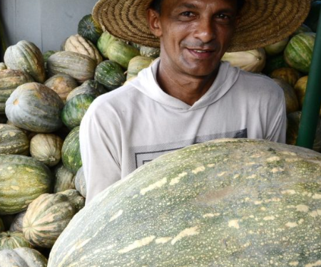 Programa Balcão de Agronegócios impulsiona comercialização de produtos regionais no Amazonas