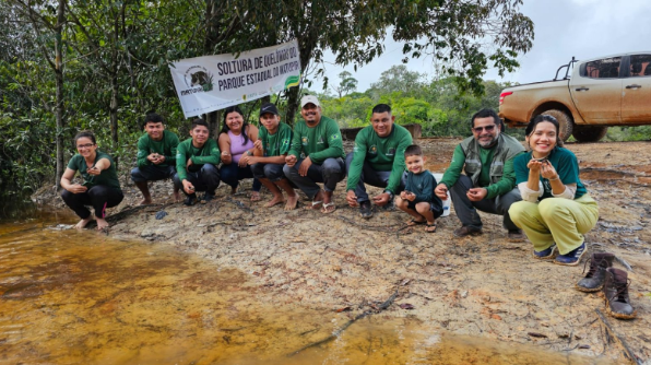 Projeto comunitário devolve 185 filhotes de quelônios à natureza no Parque Estadual Matupiri