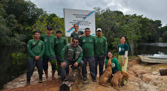 Projeto comunitário devolve 185 filhotes de quelônios à natureza no Parque Estadual Matupiri