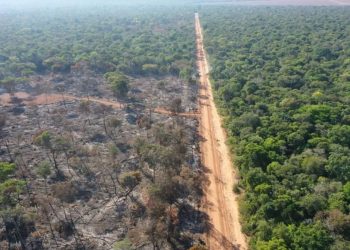Desmatamento na Amazon em Mato Grosso