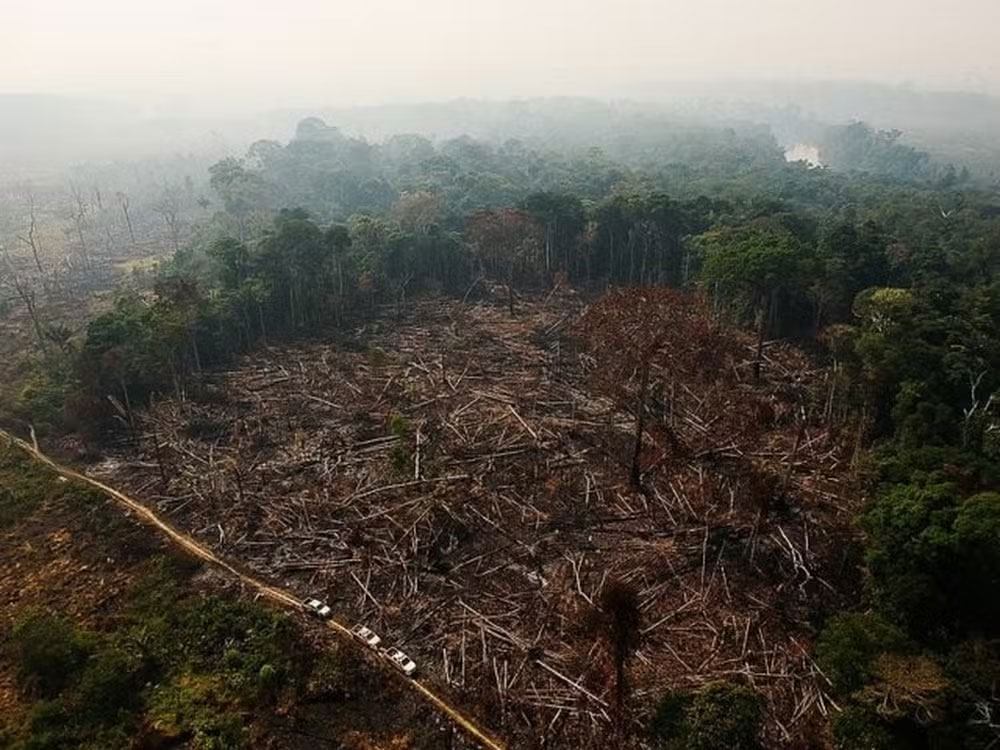 Desmatamento na Amazônia
