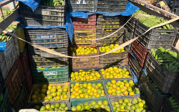 Adaf apreende mais de três toneladas de laranjas escondidas em carga de banana
