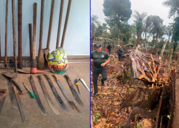 Em Parintins, Polícia Militar prende cinco homens por desmatamento e queimada ilegal