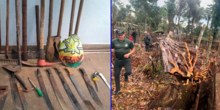 Em Parintins, Polícia Militar prende cinco homens por desmatamento e queimada ilegal