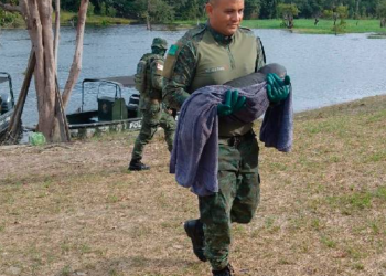 Em Parintins, Polícia Militar resgata filhote de peixe-boi em comunidade ribeirinha