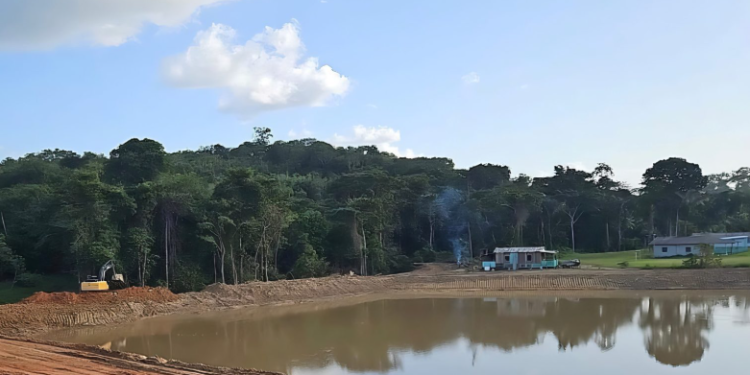 Ipaam embarga e aplica multa superior a R$ 135 mil a piscicultor que atuava de forma irregular em Presidente Figueiredo