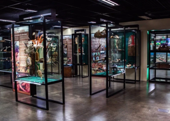 Museu do Homem do Norte propõe imersão no cotidiano da população amazônica