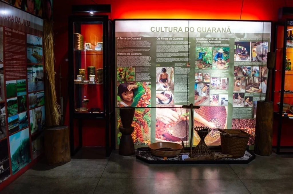 Museu do Homem do Norte propõe imersão no cotidiano da população amazônic