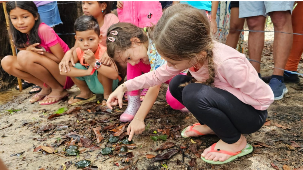 RDS Puranga conquista devolve 250 quelônios à natureza na comunidade Bela Vista do Jaraqui