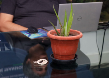 Sedecti discute fortalecimento da bioeconomia no Amazonas com a fibra do curauá