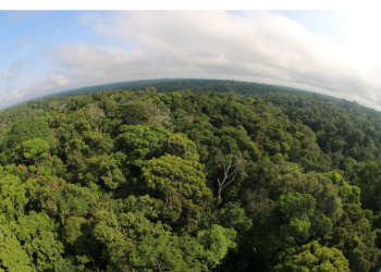 Sema mobiliza sociedade para propor soluções climáticas na 5ª Conferência Estadual do Meio Ambiente