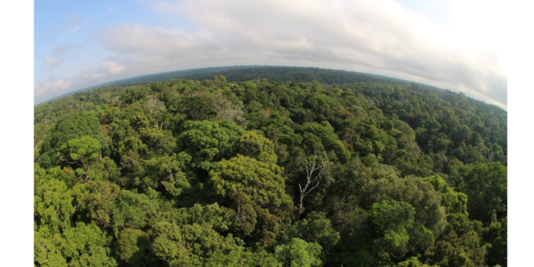 Sema mobiliza sociedade para propor soluções climáticas na 5ª Conferência Estadual do Meio Ambiente