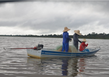 Fim do defeso: pesca do tambaqui é liberada a partir de 1º de abril no Amazonas