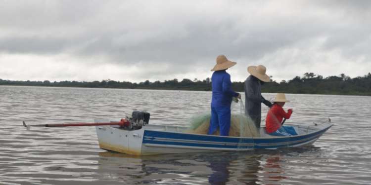 Fim do defeso: pesca do tambaqui é liberada a partir de 1º de abril no Amazonas