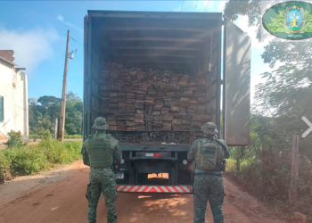Polícia Militar apreende carga de madeira ilegal