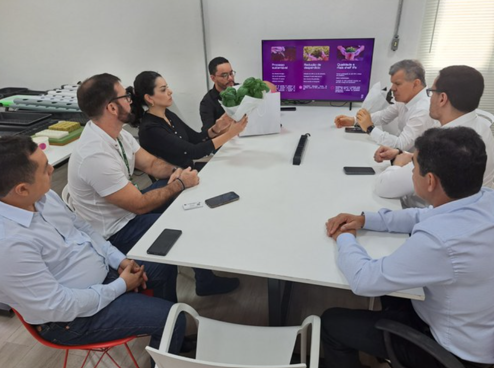 Projeto de cultivo de hortaliças é apresentado à Suframa 
