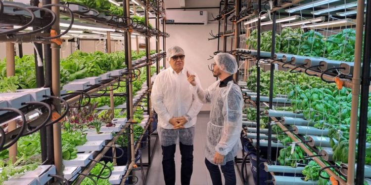 Projeto de cultivo de hortaliças é apresentado à Suframa