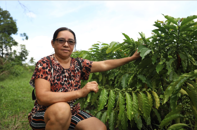 Dia Mundial do Café: Sepror potencializa o setor da cafeicultura com entregas de mudas a produtores rurais