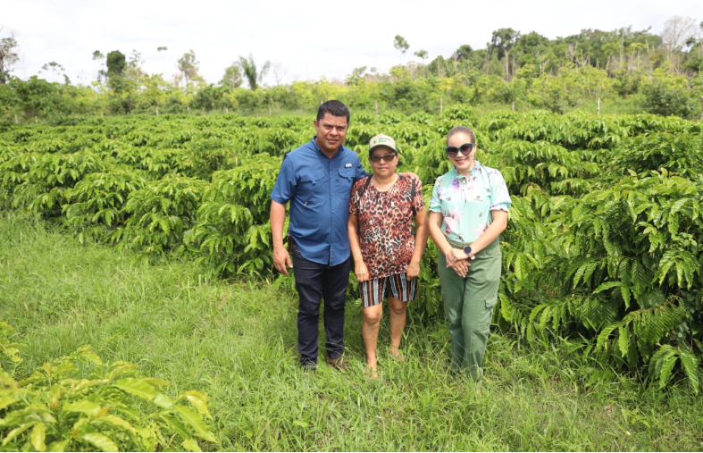 Dia Mundial do Café: Sepror potencializa o setor da cafeicultura com entregas de mudas a produtores rurais