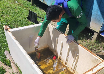 Amazonas atualiza situação das arboviroses nesta quinta-feira