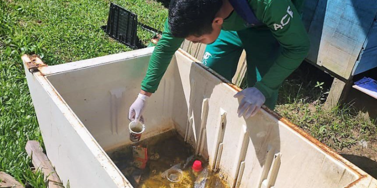 Amazonas atualiza situação das arboviroses nesta quinta-feira