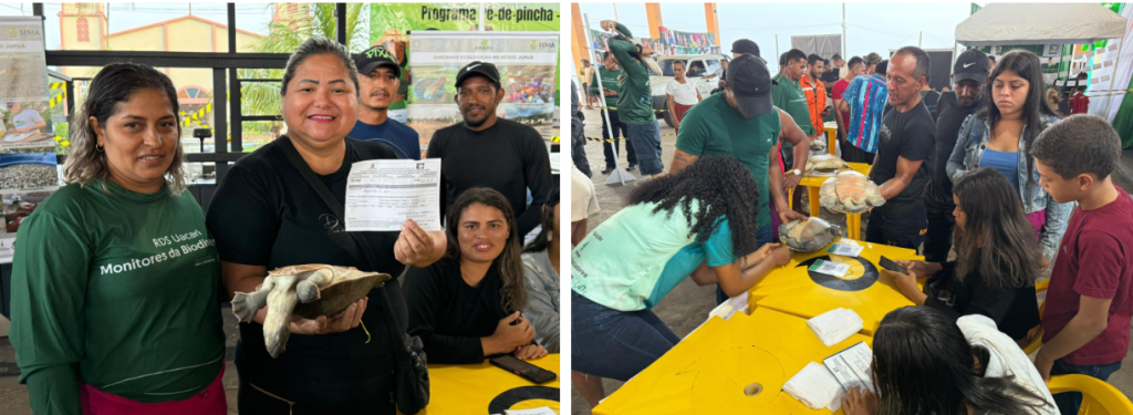 Avanço histórico Amazonas promove pela primeira venda legal de quelônios manejados em Carauari