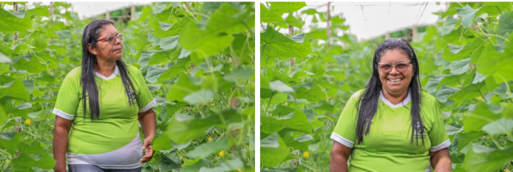 Dia do Trabalhador Rural A luta e o orgulho de produzir no coração do Amazonas