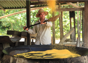 Eco Amazônia: Governo do Amazonas prepara feira integrada para celebrar Semana do Meio Ambiente