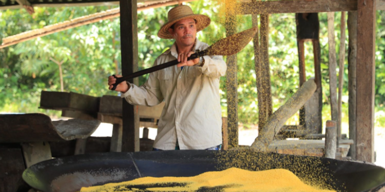 Eco Amazônia: Governo do Amazonas prepara feira integrada para celebrar Semana do Meio Ambiente