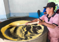Em Tonantins e Borba, curso de produção de farinha de mandioca do Idam beneficia agricultores familiares