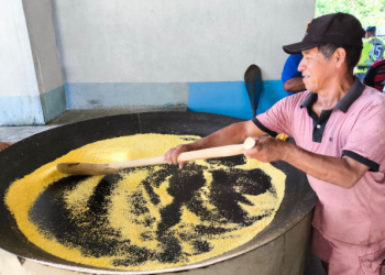 Em Tonantins e Borba, curso de produção de farinha de mandioca do Idam beneficia agricultores familiares