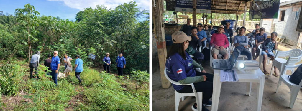 Em Tonantins e Borba, curso de produção de farinha de mandioca do Idam beneficia agricultores familiares