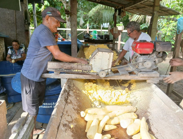 Em Tonantins e Borba, curso de produção de farinha de mandioca do Idam beneficia agricultores familiares