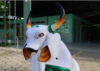 FUnATI aproxima idosos da cultura regional com escolha do nome do boi-bumbá da instituição