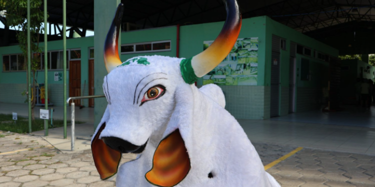 FUnATI aproxima idosos da cultura regional com escolha do nome do boi-bumbá da instituição