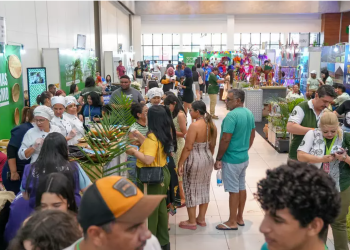 Festival Amazonas de Turismo impulsiona pequenos negócios e mostra a força da economia criativa