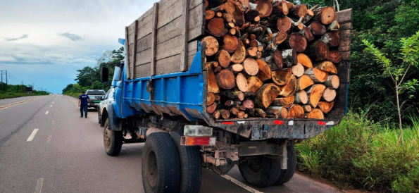 Ipaam e Batalhão Ambiental apreendem caminhão com 12 st de madeira ilegal em Iranduba