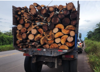 Ipaam e Batalhão Ambiental apreendem caminhão com 12 st de madeira ilegal em Iranduba