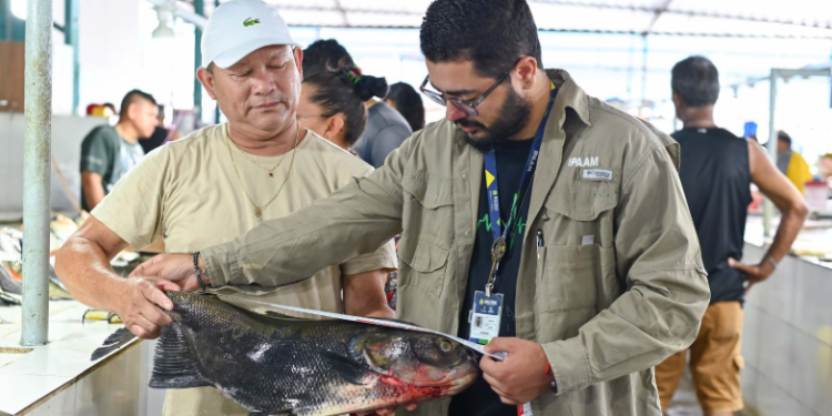 Ipaam orienta sobre pesca sustentável na Feira da Panair com entrega de fitas de medição