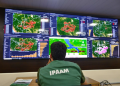 Ipaam registra queda de 16,65% no desmatamento e 72,72% nos focos de calor no Amazonas